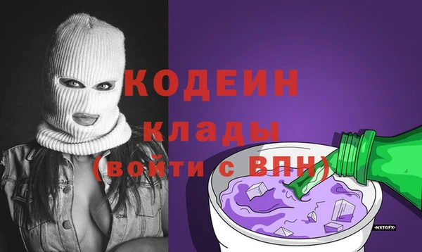 шишки Горняк